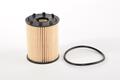 Abarth 124 Oil Filter. Part Number 6000633302